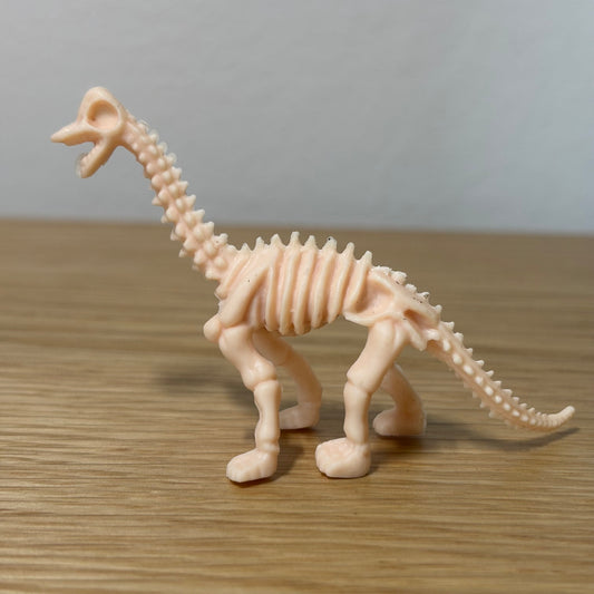 Dinosaur Skeleton Enclosure Decoration