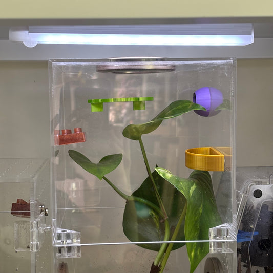 Standard 20cm LED Light Bar For Invertebrate Enclosure Lighting