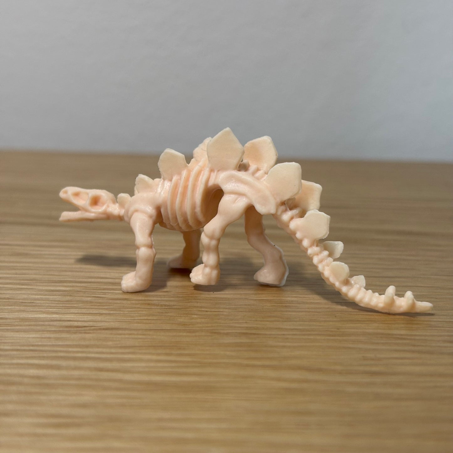 Dinosaur Skeleton Enclosure Decoration