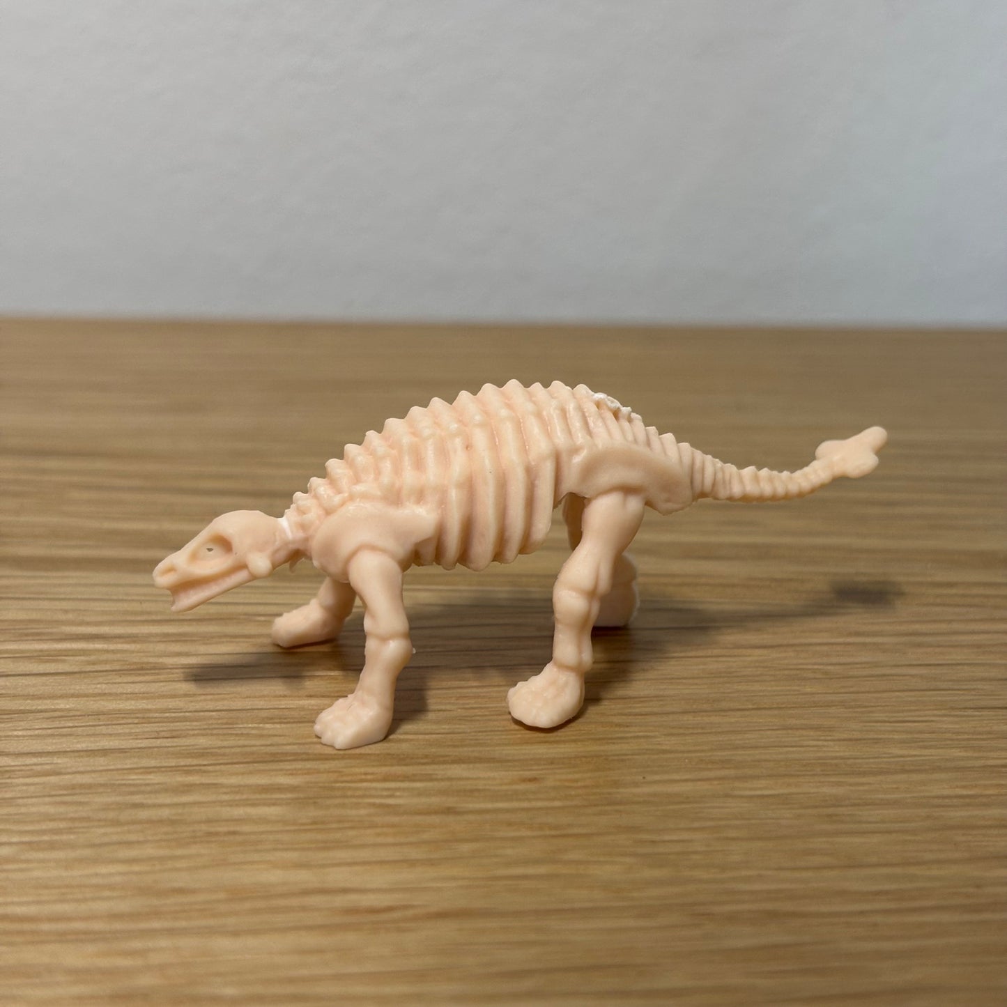 Dinosaur Skeleton Enclosure Decoration