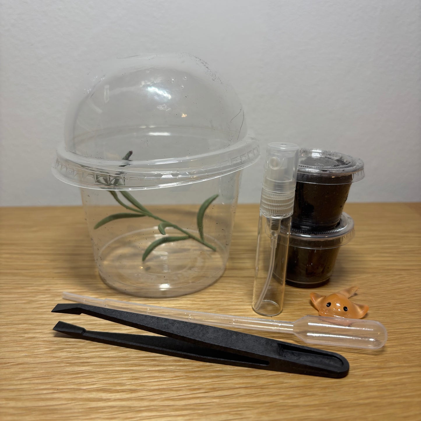 Jumping Spider Sling Starter Kit