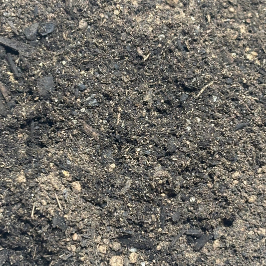 Premium Invertebrate & Spider Soil Substrate 250g