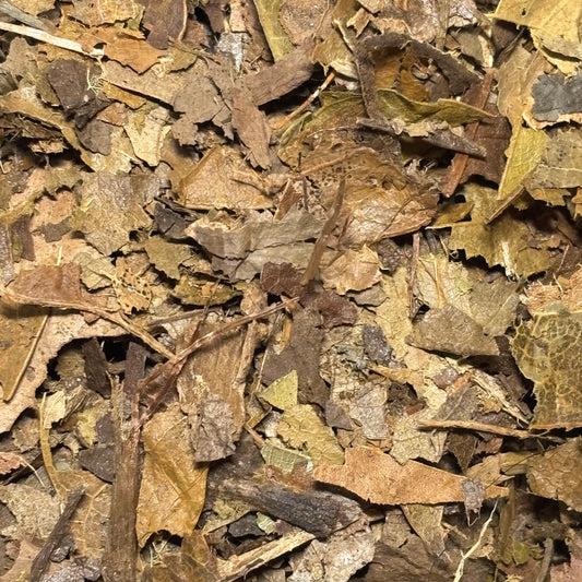 Leaf Litter For Bioactive and Isopod Setups 50g