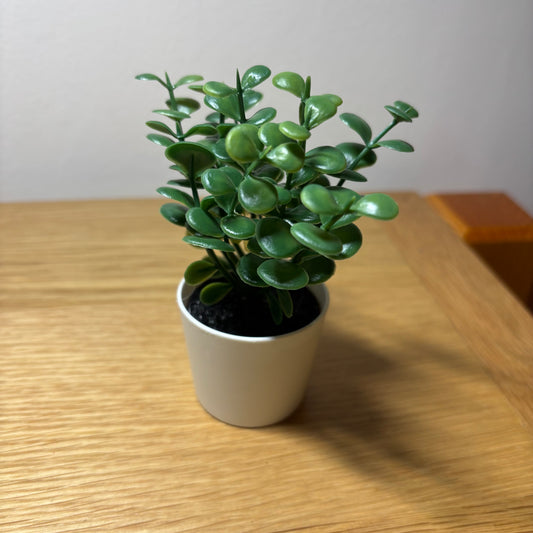 Plastic Succulent Decoration Potted 12cm