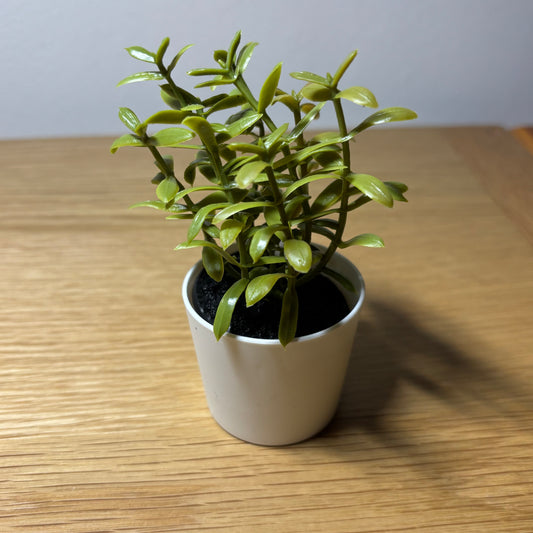 Plastic Plant Decoration For Spider Enclosures 12cm