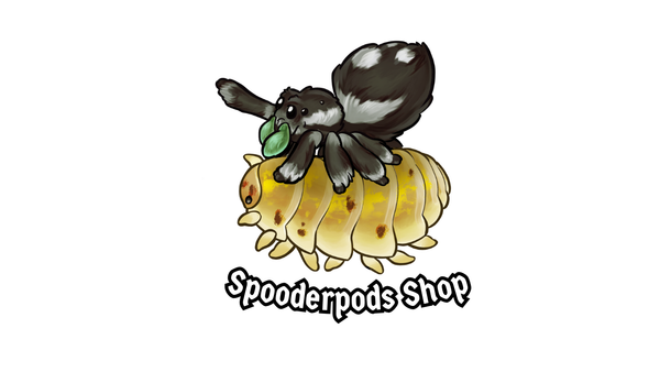 Spooderpods Shop