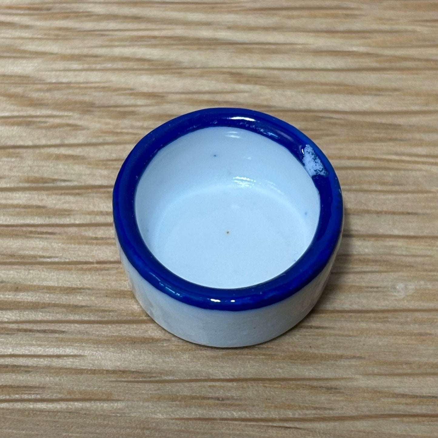 Invertebrate Water Dish / Feeding Bowl Ceramic